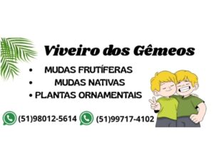 Foto 1 de Viveiro dos Gêmeos